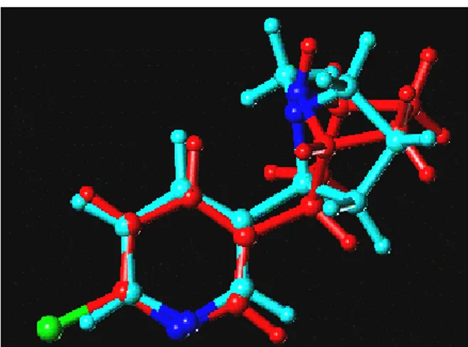 Şekil 2.1  Nikotin ve  epibatidin  bileşiklerinin süperpozisyonu, N: mavi, Cl: yeşil. 