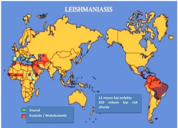 Şekil 2. 4 Dünya’da Leishmaniasis Dağılımı [99] 