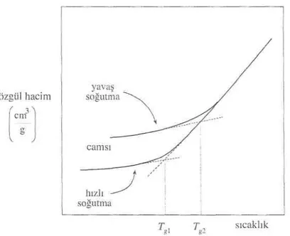 Şekil 2. 5 Soğutma hızının, polimerin camsı geçiş sıcaklığı üzerine etkisi. Hızlı soğutmada  düşük camsı geçiş sıcaklığı ( T ) gözlenir (Saçak [27])  g 1