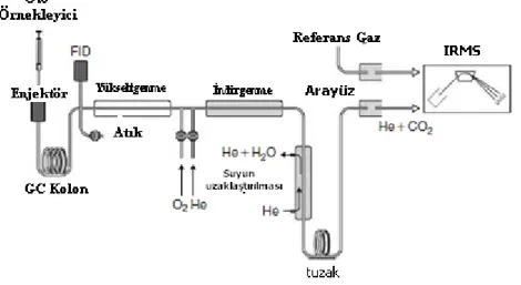 Şekil 6.5 Bileşik-özgü izotop analizi sistemlerinden (GC-C)-IRMS sisteminin şematik görünümü