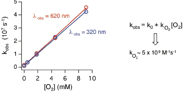 Şekil 4.9 320 ve 620 nm’deki geçici absorpsiyonların hız sabitlerinin, asetonitril  içerisinde çözünen moleküler oksijen konsanstrasyonuna bağlılığı