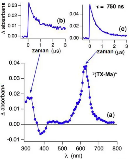 Şekil 4.10 TX-Ma’nın argon ile doyurulmuş asetonitrildeki çözeltisinin lazer flaş fotoliz  spektrumu (a; 355 nm, 5 ns), 320 nm’deki triplet ömür grafiği (b), 620 nm’deki triplet 