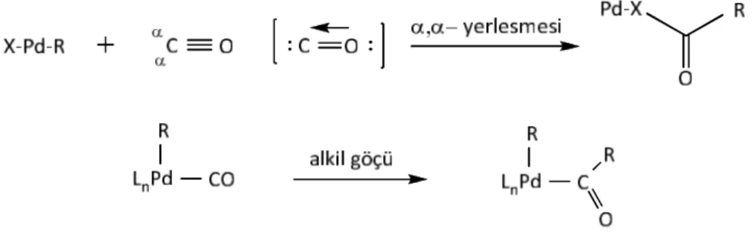 Şekil 3.6 Pd-ligand içerisine karbonil yerleşmesi ve alkil göçü  