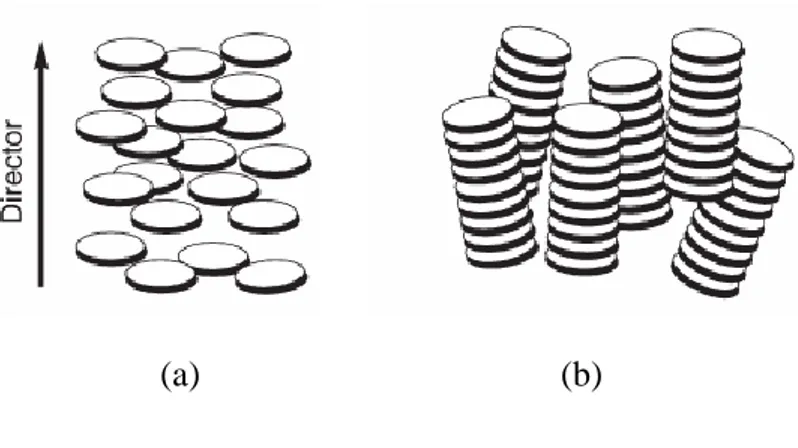 Şekil 2.9 a) Nematik diskotik faz ve b) Nematik kolumnar fazda moleküler düzenlenme [7]