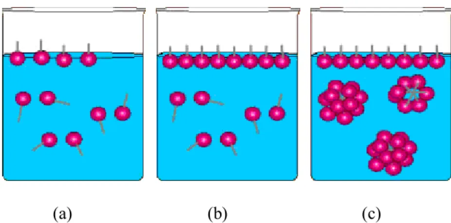 Şekil 2.9 Yüzey aktif madde konsantrasyonunun artmasıyla misel oluşumu: (a) düşük  emülgatör konsantrasyonu, (b) yüksek emülgatör konsantrasyonu, (c) kritik misel 
