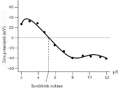 Şekil 3.23 Negatif yüklü bir parçacığın zeta potansiyelinin pH’ye bağlı değişim grafiği  görülmektedir (Zetasizer Nano Series User Manual)