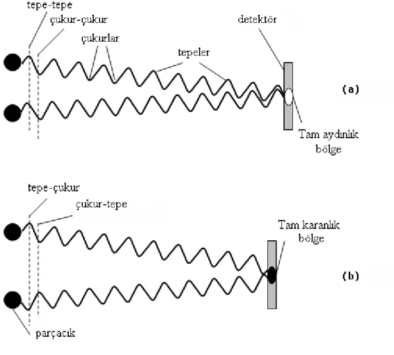 Şekil 3.13 İki parçacıktan saçılan ışınların, detektör yüzeyinde yaptıkları girişim  görülmektedir