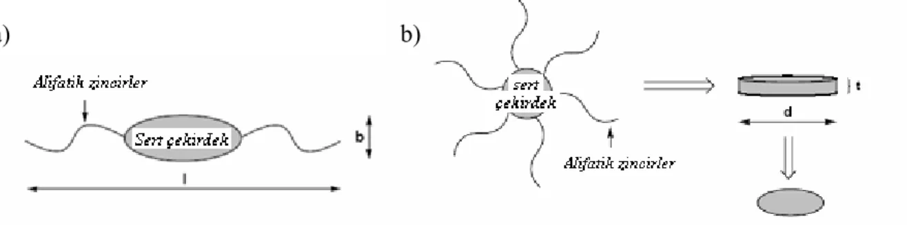 Şekil 2.4  a) Kalamitik sıvı kristaller için yapısal model (l&gt;&gt;b); b) diskotik sıvı kristaller için  yapısal model (d&gt;&gt;t) (Belloni, 2002)