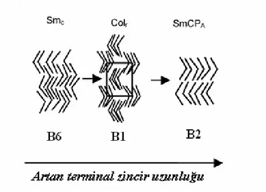 Şekil 3.14 Terminal zincir uzunluğu ve mesofaz arasındaki ilişki (Reddy ve Tschierske,  2006)