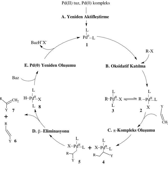 Şekil 3.1  Heck reaksiyonlarında klasik katalitik çevrim. 