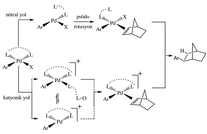 Şekil 3.5  İndirgen Heck reaksiyonunun katyonik ve nötral kısmi mekanizması. 