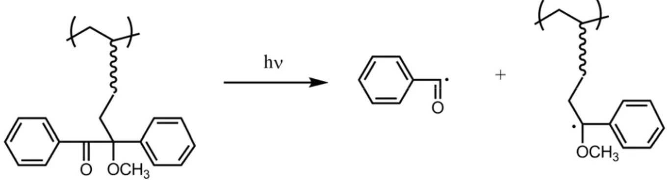 Şekil 2.23 Yan zincirde benzoin eter takılı polimerik fotobaşlatıcının mekanizması. 