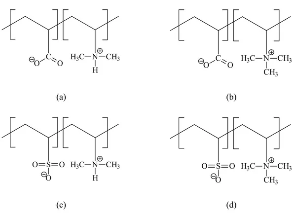 Şekil 2.7 Poliamfolitlerin pH cevabına bağlı olarak örnek yapıları. 
