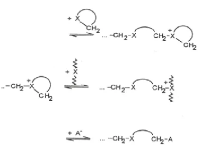Şekil 2.60 Katyonik halka açılması polimerizasyonunda aktif merkezlerin ortamdaki  nükleofillerle olan reaksiyonları