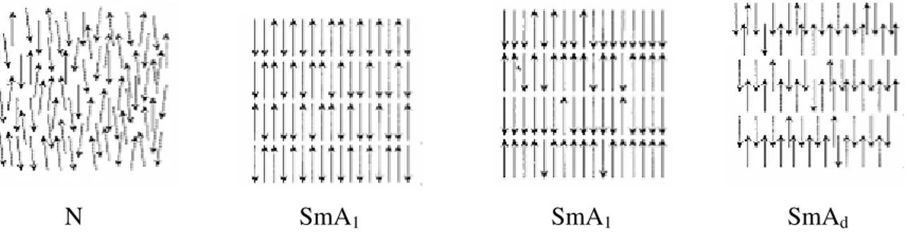 Şekil 2.11 Ferroelektrik, antiferroelektrik ve ferrielektrik  SmC* fazının şematik gösterilişi  (Kumar, 2001)