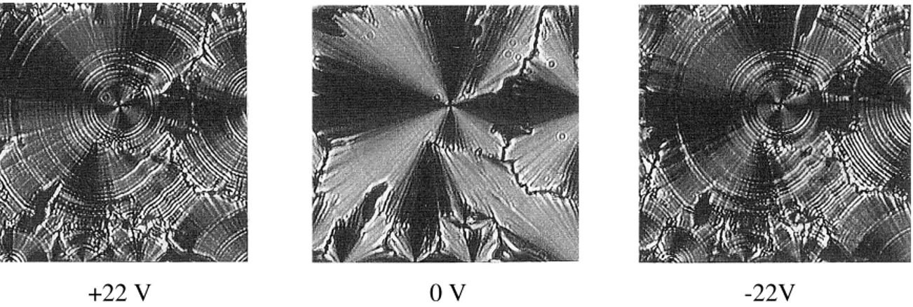 Şekil 3.18 B2 fazının uygulanan elektrik alan altında görülen tekstürünün bir örneği            (Pelzl vd, 1999)