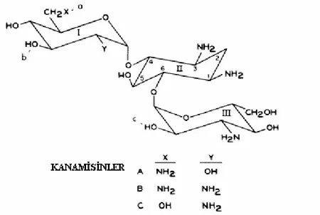 Şekil 2.2. Kanamisin A,B,C’nin yapısı 