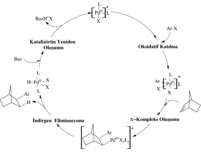 Şekil 3.6  Pd II /Pd IV   için indirgen Heck reaksiyon çevrimi. 
