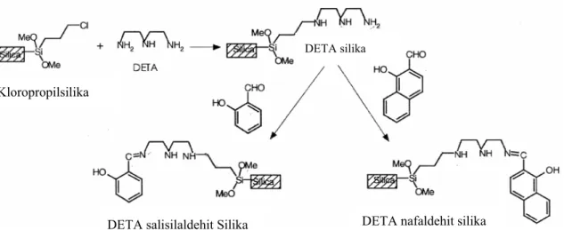 Şekil 2.15  Mono ve bis-nafdaldehit ve salisilik aldehit Schiff bazlarının silika yüzey üzerine  immobilizasyonu (Jal ve diğ., 2004) 