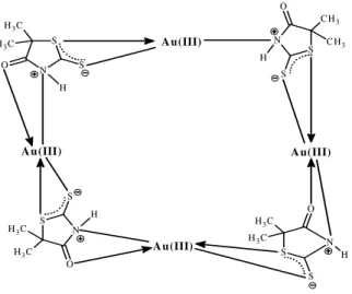 Şekil 3.5 A kompleksi: 2-tiyono-5,5-dimetil-4-tiyazolidinon bileşiğinin altın kompleksi