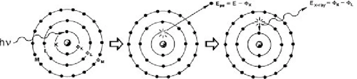 Şekil 2.5  X ışınlarının bir atom ile etkileşmesi sırasında atom kabuklarında oluşan  süreçlerin gösterilmesi (a) X ışını enerjisinin soğrulması, (b) serbest elektronun dışarıya 