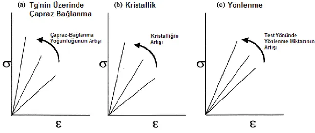 ġekil 2.34 Gerilim-uzama eğrilerine yapısal değiĢimlerin etkileri (Menard, 1999).   Andreassen  vd.,  (1994)  PP  elyafın  çekme  özelliklerine  iĢleme  parametreleri  ve  molekül 