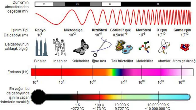 Şekil 2. 1 Elektromanyetik radyasyonun tüm dalgaboylarındaki spektrumu  Enerji, frekansla (ν) doğru orantılı dalgaboyu (λ) ile ters orantılıdır