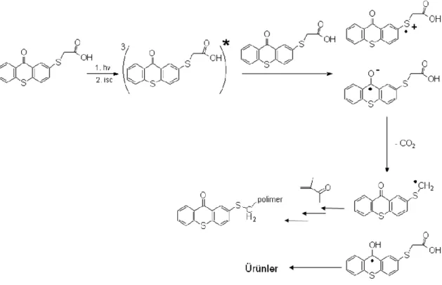 Şekil 2. 19 Tiyokzanton-tiyoasetik asit’in fotobaşlatmada radiakal oluşturma  mekanizması (Doğruyol vd