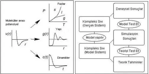 Şekil 3.1 Simülasyon bir köprü görevi görür. a) Mikroskobik ve makroskobik b) Teori ve  deney.