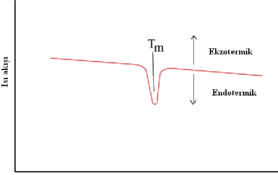 Şekil 2.17 Tipik DSC eğrisinin şematik gösterimi [7]. 