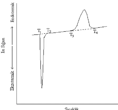 Şekil 2.18 Yarı-kristal bir polimer ısıtıldığı zaman entalpi değişiminin şematik gösterimi  (Kong Y