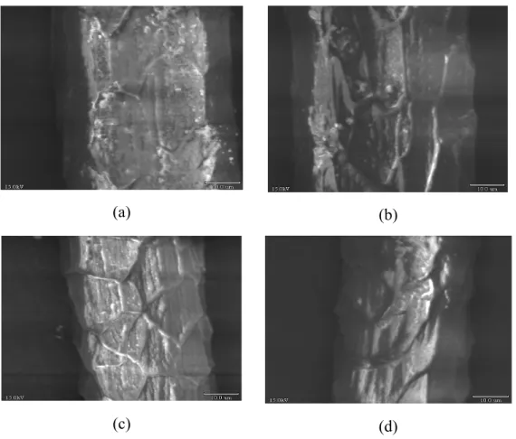 Şekil 3.4 Orijinal ve %20 uzatılmış fiberlerin 1500 büyütme ve 15,0 kV ile elde edilen SEM  fotoğrafları: (a) Orijinal ve (b) %20 uzatılmış siyah yün fiberi; (c) orijinal ve (d) %20 