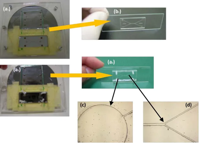 Şekil 5.1  Mikroakışkan kanal tasarım ve üretimi - (a1), (a2): Fotolitografi maskesinden  kalıp hazırlanması,  (b1), (b2): Hazırlanmış kalıplardan çıkartılan mikroakışkan PDMS 