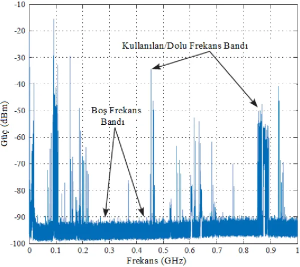Şekil 1.1 9 KHz – 1 GHz frekans bandında yapılan izge doluluk ölçümü (8/31/2005,  Lawrence, Kansas, ABD) [2] 