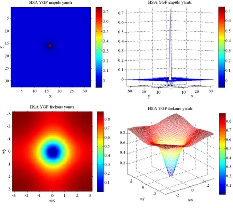 Şekil 4.9  γ =  için uzaysal YGF HSA impuls ve genlik frekans yanıtları  1