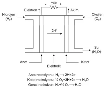 Şekil 2. 5 YH sisteminin yapısının basitçe gösterilmesi 