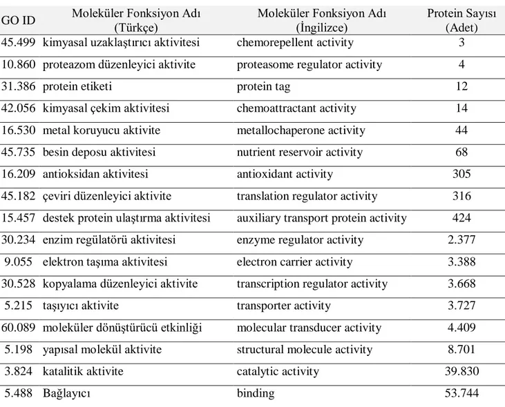 Çizelge 2.10 Ġlk seviye moleküler fonksiyon iĢlevleri   GO ID  Moleküler Fonksiyon Adı     