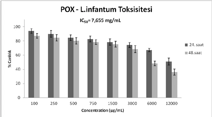 Şekil 4.5 Leishmania infantum promastigotlarında POX ile 24 ve 48 saat inkübasyon  sonrası MTT yöntemiyle sitotoksik etkisi 