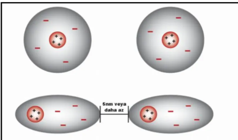 Şekil 2.22İki atom arasında Van der Waals kuvvetlerinin oluşumu [72]. 