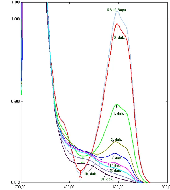 Şekil 9. 6 pH: 5,0 ve 30  o C’de Horseradish Peroksidaz enzimi ile Reaktif Blue 19 (RB 19)  boyasının giderilmesinin farklı sürelerde alınan UV-Visible Spektrumları ile 