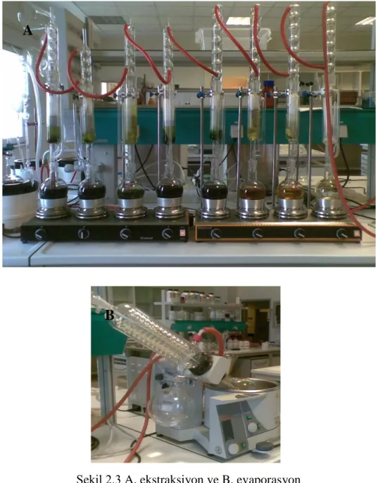 ġekil 2.3 A. ekstraksiyon ve B. evaporasyon B 