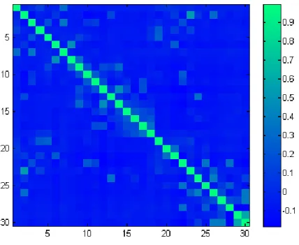 Figure 3.3 Correlation matrix of the 30 non-ordered coefficients of the target class 