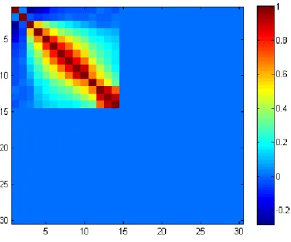 Figure 3.5 Correlation matrix of the 30 coefficients of the target class ordered by their  absolute values 