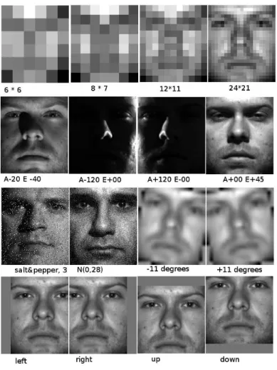 Figure 4.2 Samples of faces under adverse conditions 