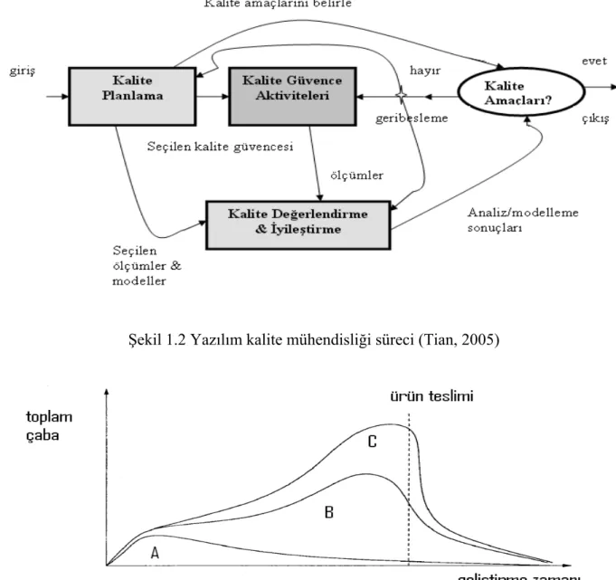 Şekil 1.2 Yazılım kalite mühendisliği süreci (Tian, 2005) 