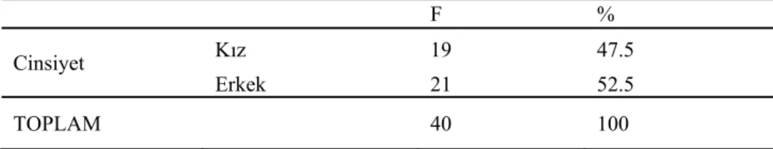 Tablo 1. Araştırmaya Katılan Öğrencilerin Cinsiyete Göre Dağılımı  