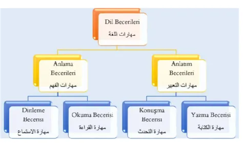Şekil 1. Dil Becerileri Şeması 