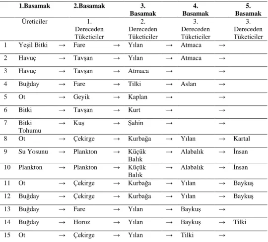 Tablo 1. Örnek Besin Zinciri  1.Basamak  2.Basamak  3.  Basamak  4.  Basamak  5.  Basamak  Üreticiler  1