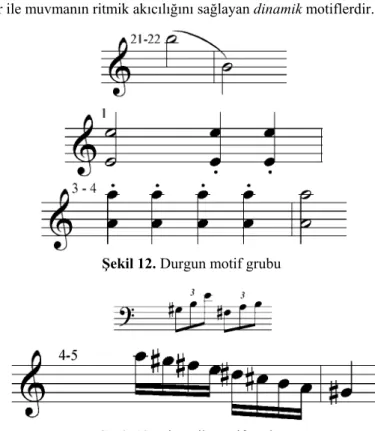 Şekil 12. Durgun motif grubu  