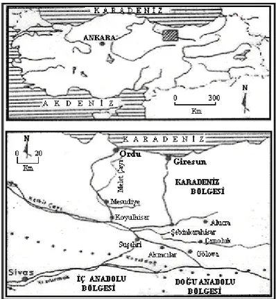 Şekil 1.  Çalışma Sahasının Lokasyon Haritası 